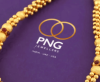 P. N. Gadgil Jewellers Share Price Target at Rs 604: Motilal Oswal Research