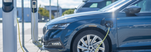 Majority of Americans still prefer ICEs to EVs: Survey