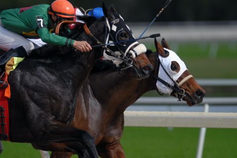 The Psychology of Horse Race Betting: Understanding Your Mind in the Game