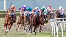The Best Payment And Withdrawal Options For Horse Betting