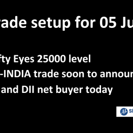 Trade Setup for 05 June: NSE Nifty Eyes 25000 Levels, China Curbs Rare Earth Exports; FIIs, DIIs Turn Buyers