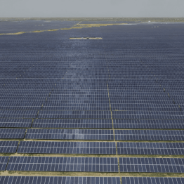 ACME Solar Holdings Share Price Target at Rs 347: Motilal Oswal Research