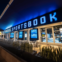 Michigan’s Sports Betting Remains Strong with Fanduel and DraftKings in Leading Position