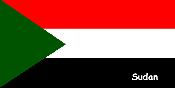 Sudanese officials announce release of foreign aid workers 