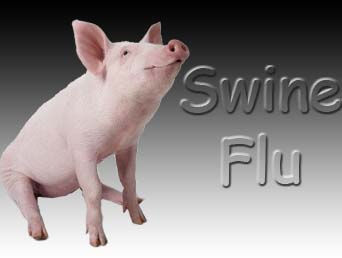 Six new swine flu cases surface