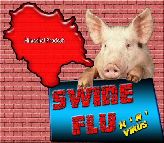 Another swine flu death in Himachal, toll rises to 16
