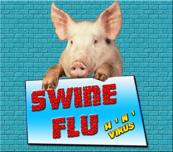 swine-flu