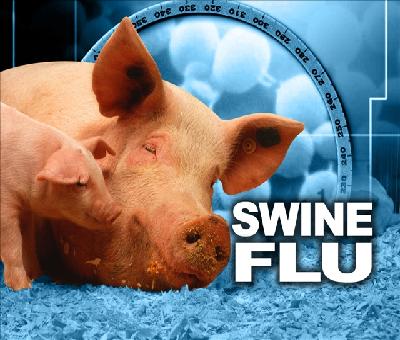  Sand artist creates sculpture on swine flu awareness in Puri