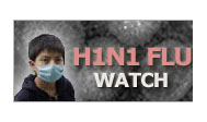 Myanmar reports first H1N1 case 