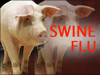 Ireland confirms first case of swine flu