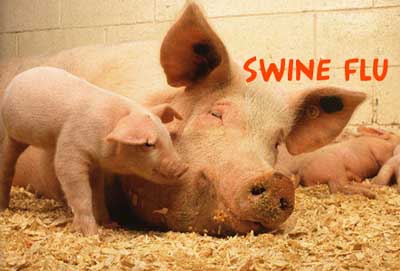  Russia ban on Spanish pork angers Madrid 