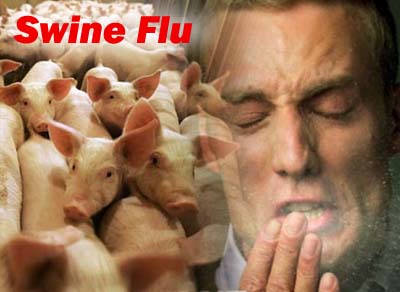 Slovakia reports first swine flu case Slovakia reports first swine flu case 