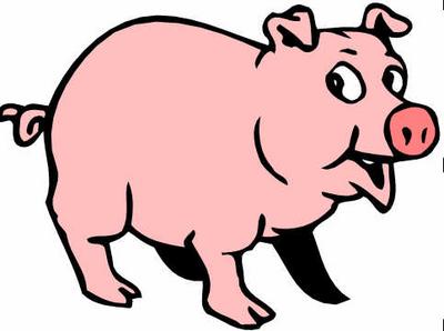 Swine flu gets hold of West Bengal Minister