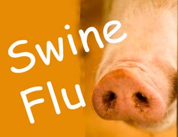 Three fresh cases found positive for Swine Flu take toll to 59