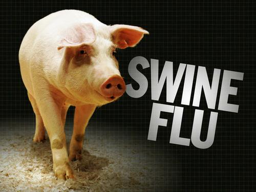 Singapore to lower flu alert level to yellow by next Monday 