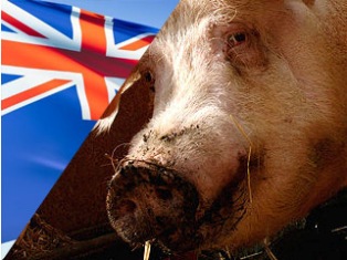 Australia decrees powers to quarantine swine flu victims
