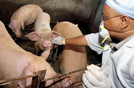 Hong Kong upgrades health alert status over swine flu fears 