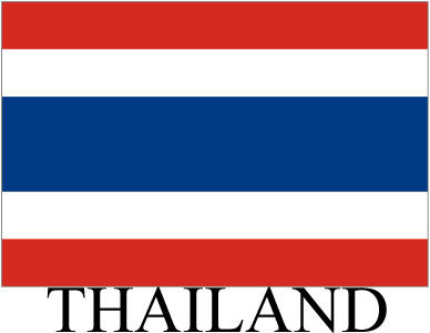 Anti-government protestors to march on Thai Finance Ministry 