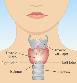 Concerns over ‘misdiagnosed’ thyroid disorders