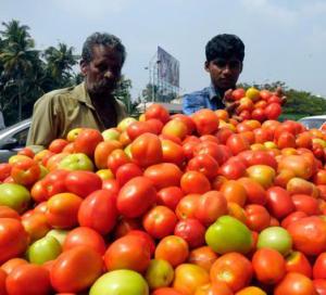 Rise in tomato prices leaves consumers exasperated