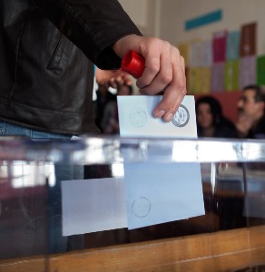 turkey voter
