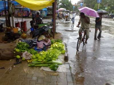 vegetable prices