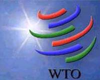 WTO chief to G8: fight protectionism