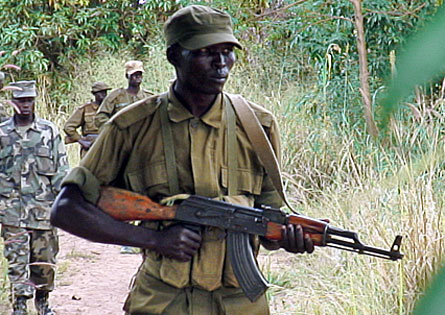 Ugandan rebels attack Congolese game park, killing eight people