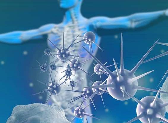 Antibodies