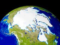 Arctic lands and oceans account for 25 percent of world’s net sink of CO2