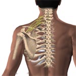 Treatments available for computer-induced arm pain