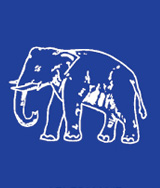 BSP Flag