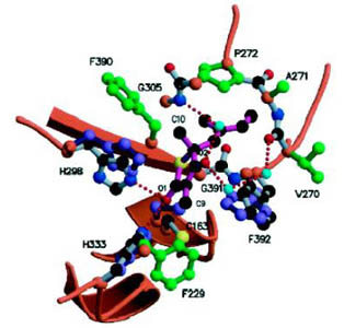 Bacterial enzyme