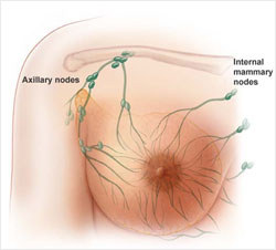 TN Government orders inquiry into “world record breast cancer operations”