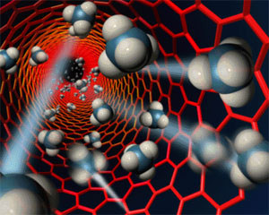 Carbon naotaubes can be dangerous for lungs 