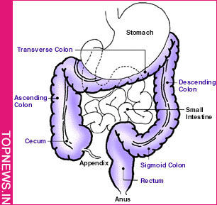 How daylight can optimise environmental impact of buildings