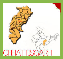 Chhattisgarh inspector owns assets worth Rs.5 crore