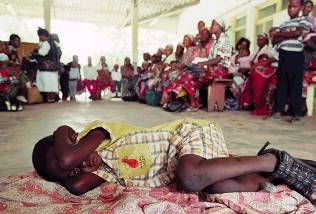 Cholera_Scare