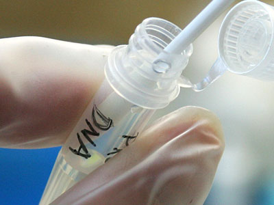 New ultrasensitive electronic sensor offers cost-effective and quicker DNA testing
