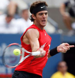Del Potro lifts fifth trophy with New Zealand success 