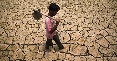 Government approves Rs 778 crore drought aid for Maharashtra