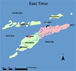 East Timor sells off its artefacts, history