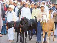 Eid-ul-Zuha