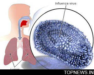 Why some people are more suscepticle to flu