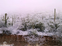 Freezing Temperatures