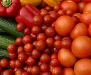 Farm activists criticise IB report on GM foods