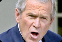 george w bush