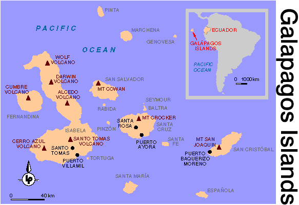 Birds on Galapagos Islands develop antibodies to fight alien parasites