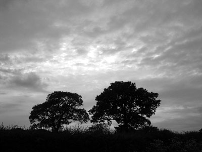 Gloomy weather ‘sharpens the mind’