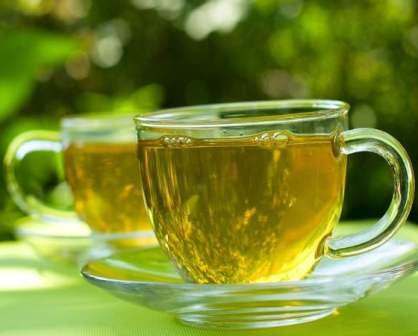 Green tea helps improve memory